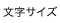 �����T�C�Y