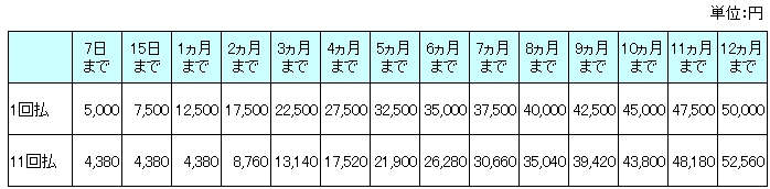 保険料の支払方法 1回払と11回払の違いは ソニー損保 自動車保険のよくある質問